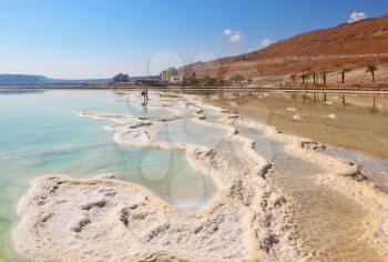 Path of the evaporated salt. Shores of the Dead Sea in Israel. The woman - tourist posing in bright sunlight