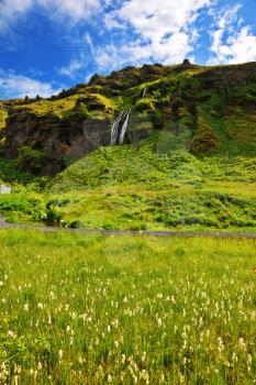 A warm summer day in Iceland. Picturesque flowering fields and streams in the vicinity of the falls Selyalandfoss