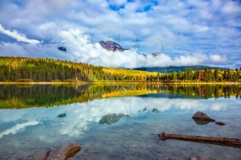 Charming Patricia Lake amongst the evergreen forests and yellow bushes. Warm autumn in the Rocky Mountains of Canada