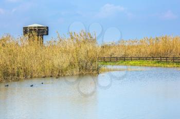  Wooden round tower for bird watching. Hula Nature Reserve, Israel, December. Lake Hula is a wintering place for migratory birds