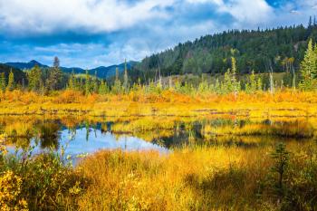 Warm autumn in the Rocky Mountains of Canada. Charming Patricia Lake amongst the yellow grass and distant mountains
