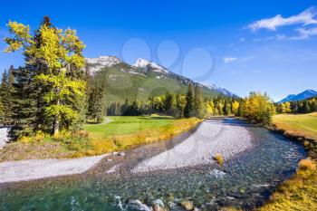 Delightful park Banff in the Rocky Mountains of Canada. The shallow stream among green and yellow grass lawns