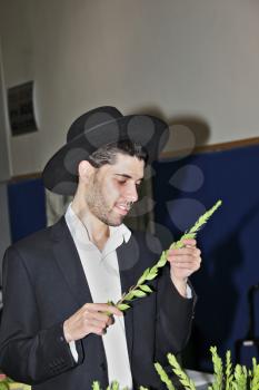 BNEY-BRAK, ISRAEL - SEPTEMBER 17, 2013: The young man in  black hat with brim carefully considering the branch of myrtle. The traditional holiday bazaar before Sukkot