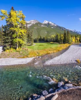 The shallow stream among green and yellow grass lawns. Delightful park Banff in the Rocky Mountains of Canada