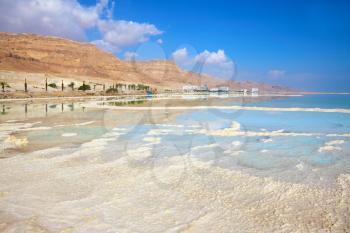  The coast of the Dead Sea in Israel. Along the shore with palm trees, which are reflected in the water. Path from the evaporated salt