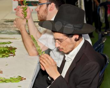 BNEY-BRAK, ISRAEL - SEPTEMBER 17, 2013: A young man in  black hat with brim and thin glasses carefully considering the branch of myrtle. The traditional holiday bazaar before Sukkot