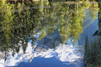 Chamonix - a famous ski resort in the French Alps. Reflections of snow-capped peaks and coastal trees in city park pond