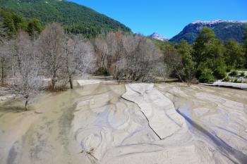Riverbed in the mountains of the Argentine Patagonia. Many trees withered in the eruption. The river is almost completely covered with volcanic ash