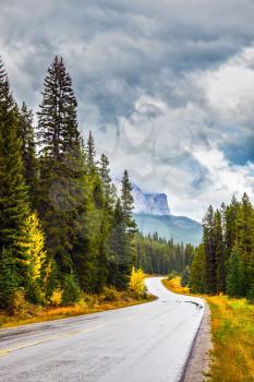 Lovely Golden Autumn in Banff National Park. Highway among orange grass and evergreen trees. Canada Rockies