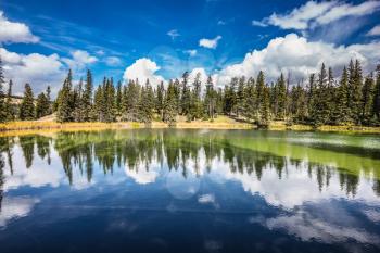 Adorable little lake. Coniferous forest is reflected in the mirrored water. Autumn day in Jasper National Park in the Rocky Mountains of Canada