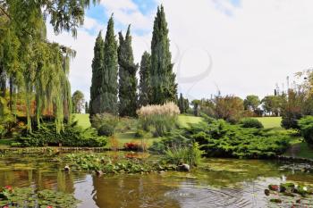  A pond, overgrown with lilies, weeping willows and cypresses. A quiet corner of the picturesque park in Europe