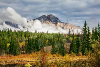 Jasper National Park in the Rocky Mountains of Canada. The yellow and orange autumn grass and trees. Picturesque mountains and clouds 