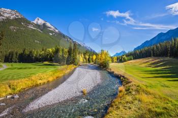 The shallow stream among green and yellow grass lawns. The park Banff in the Rocky Mountains of Canada