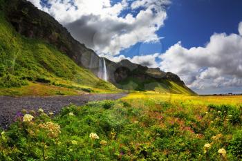 Beautiful summer day in Iceland. Wonderful flowering fields and streams in the vicinity of the falls Selyalandfoss