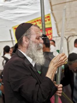 JERUSALEM, ISRAEL - SEPTEMBER 18, 2013: The gray-bearded religious Jew in a black skullcap carefully chooses ritual plant - myrtle for Sukkot.