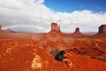 Navajo Reservation in the US. Red Desert and rocks - mitts sandstone. The big black dog lying under huge rainbow