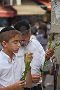 Bnei Brak - September 22: The group of Jewish boys in velvet skullcaps chooses ritual plant  before the holiday of Sukkot. Holiday city market September 22, 2010 in Bnei Brak, Israel
