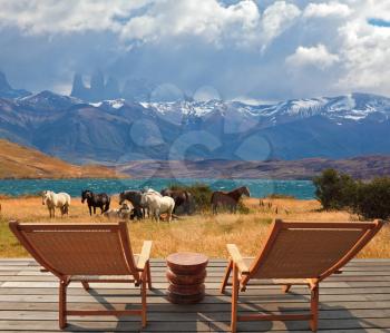 Herd of mustangs graze near the lake Laguna Azul. Two comfortable wooden deck chairs are next