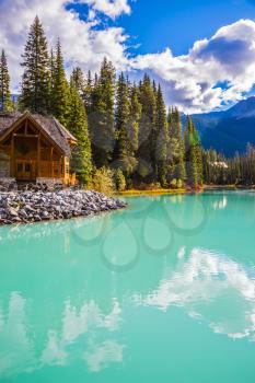  Emerald Lake in Yoho National Park, Canada. Camping and coniferous forest