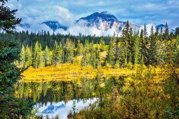 Charming Patricia lake among evergreen forests, yellow bushes and far mountains. Warm autumn day in park Jasper, the Rocky Mountains of Canada