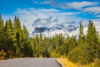  Canadian Rockies in beautiful autumn day. The road goes among the mountains and forests yellowed