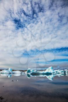  Ice lagoon in July.  Ice floes are reflected in the mirrored water of ocean. Summer in Iceland