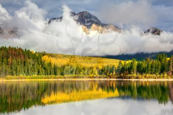 Jasper National Park in the Rocky Mountains of Canada. Patricia Lake. Yellow and orange autumn grass and trees are reflected in cold water