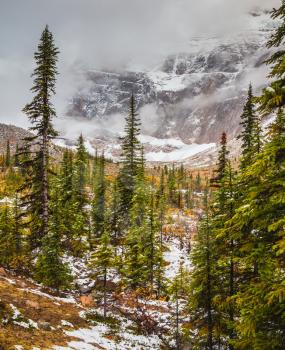 Mount Edith Cavell. Cold start of autumn in Jasper National Park. Snow fell in September