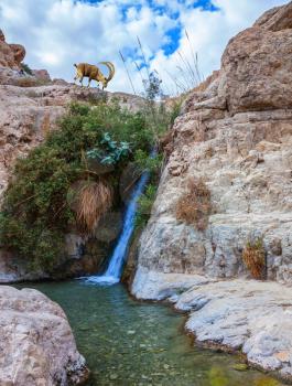  Beautiful waterfall and rapid creek with clear water. The national park Ein Gedi, Israel