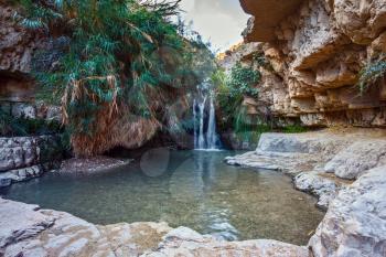 Beautiful waterfall and small scenic pond with clear water. The national park Ein Gedi, Israel