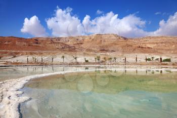 Israeli coast of the Dead Sea. Path from the salt winds picturesquely in salt water. Palms on the bank are reflected in smooth water
