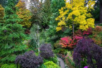 The world-famous masterpiece of landscape - landscape architecture. Butchart Gardens - beautiful gardens on Vancouver Island. Flower beds of colorful flowers and walking paths for tourists