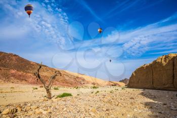  Stone desert near the seaside resort of Eilat. Three multi-colored balloons over the hot desert
