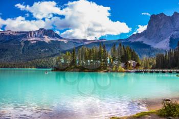 The green lake surrounded by forest. Magic Emerald Lake in Yoho National Park, Rocky Mountains