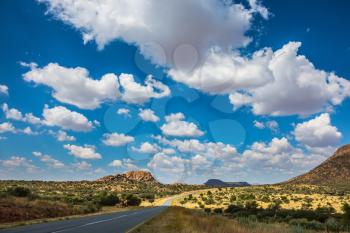 Along the road low trees and yellowed grass. Fluffy clouds over the savannah. The asphalt highway in Namibia
