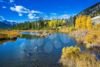 Lake Vermilion among the forests. Indian summer in the Rocky Mountains of Canada