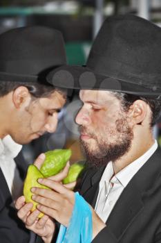 BENE - BERAK, ISRAEL - SEPTEMBER 17, 2013: A young religious man - Jew closely examining citrus - fruit for the holiday of Sukkot. The traditional holiday bazaar before Sukkot
