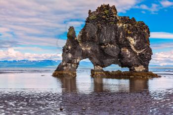  The picturesque cliff  in Iceland as huge prehistoric monster. Remains of an ancient extinct volcano Hvitserkur on the sea shelf