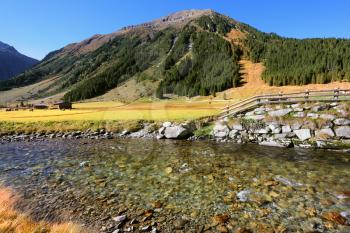  The rough transparent stream quickly runs down. The mountain slopes are covered with thick alpine valley pine forest