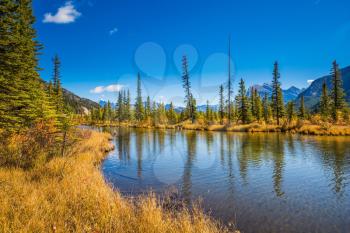 Day in the Canadian Rockies. Shallow Lake Vermilion among the autumn forests