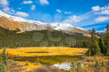 The concept of ecotourism. The mountains are covered in snow. Autumn in Canada. Shallow marshy lake in the Rocky Mountains