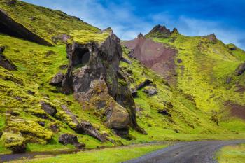 The summer blossoming Iceland. Canyon Pakgil -  green grass and moss on freakish rocks