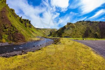 The road to the camping. Summer blooming Iceland. Pakgil Canyon - green grass and moss on the rocks. At the bottom of the canyon flows a small creek fast