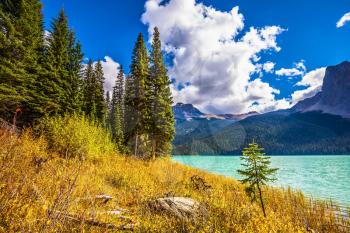  The smooth turquoise water among the yellowed autumn forest. The concept of eco-tourism and active recreation. Lake in the Rocky Mountains