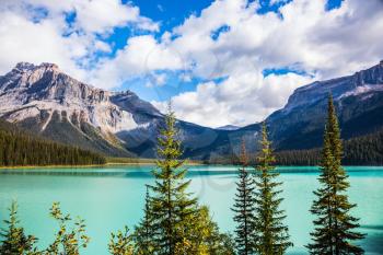 The emerald-green lake surrounded by a coniferous forest. Magic Emerald Lake in the Canadian Rockies
