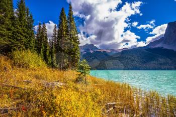  The smooth turquoise water among the yellowed autumn forest. Lake in the Rocky Mountains. The concept of eco-tourism and active recreation