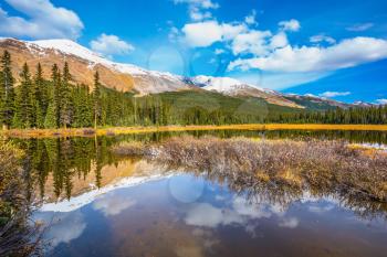 Autumn in Canada. The concept of ecotourism. Clouds are reflected in smooth water. Swamp in the valley of the Rocky Mountains