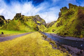 Summer blooming Iceland. Pakgil Canyon - green grass and moss on the rocks. At the bottom of canyon flows small fast creek 