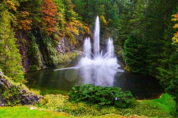 Dancing fountain in a quiet pond, surrounded by pine forest.  Butchart Gardens on Vancouver Island, Canada