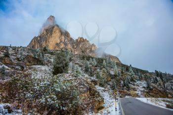 Fir forest covered with first snow in the Dolomites. Wet road to the pass Giau. Northern Italy